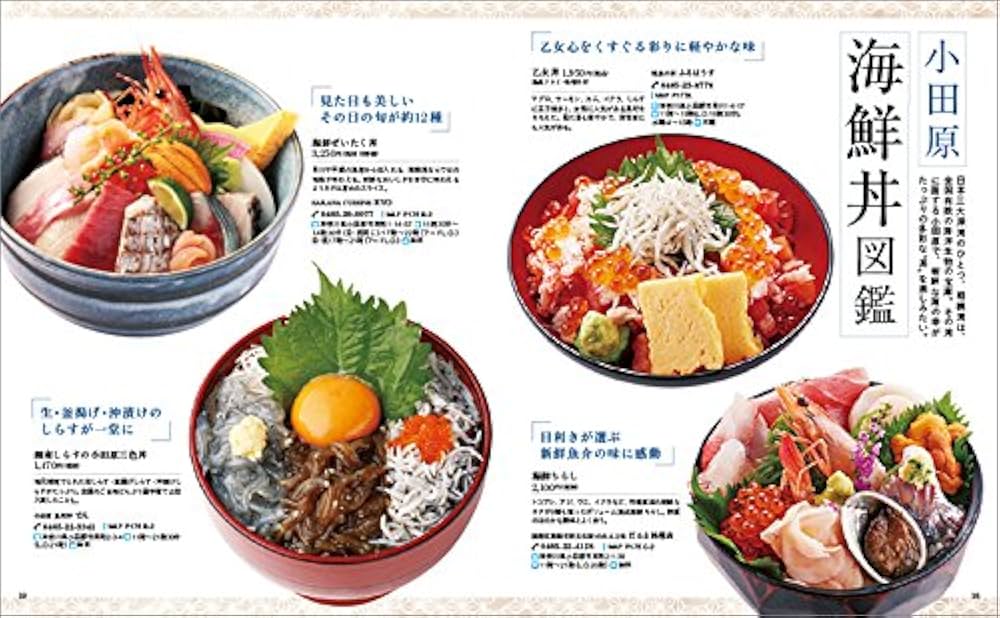 箱根・小田原ごちそう大図鑑 厳選グルメ88軒 (ガイドブック) |本